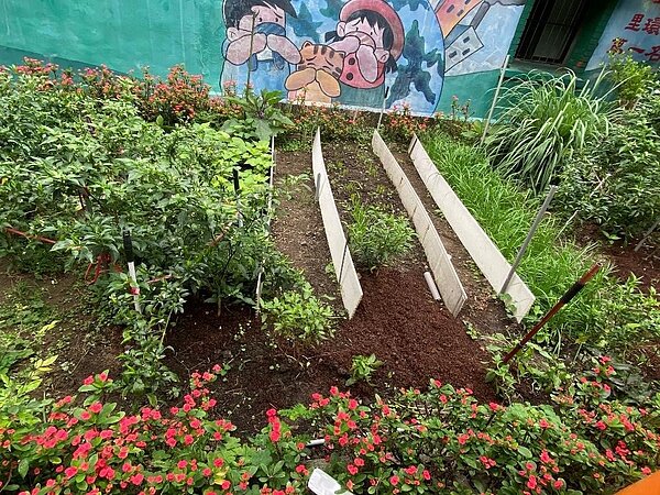 板橋區景星里小菜園  彭芷琳攝