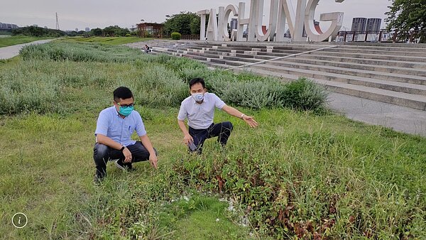 台中市議員張耀中指出,台中城市地標植生維護,不能因為疫情鬆懈。圖/張耀中提供