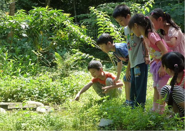 生活課程設計讓學生觀察校園生態池環境。圖／指南國小提供
