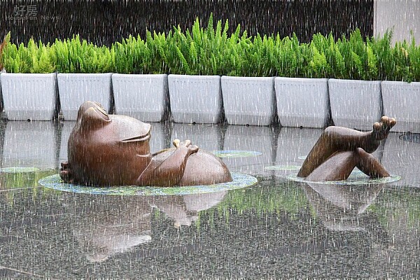 捷運大安森林公園站中的青蛙塑像，在下雨時彷彿躺在池塘裡。（好房News記者 陳韋帆／攝影）