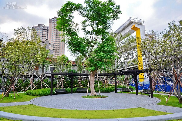 新北市中和工業區員山路與中正路交叉段新建五百坪公園,圖中為公園內最大樹木鳳凰樹。(好房網News記者 陳韋帆/攝影)
