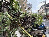 屋主囤物不聽勸　台中逢甲商圈民宅圍牆倒塌砸毀機車