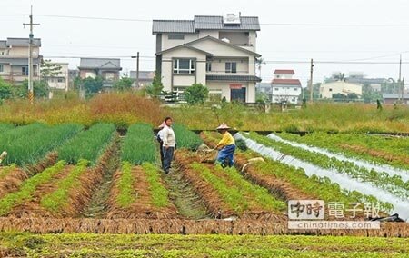 宜蘭農舍一棟一棟興建,農委會主委陳保基說,若再不修法,農地繼續流失,恐貽害萬年。圖為員山鄉農舍一景。(本報資料照片)