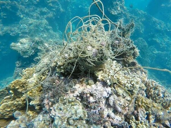 珊瑚海垃圾海海底下的珊瑚被廢棄漁網、繩索、廢棄漂流物造纏住，生長受到限制。 圖／陳正男提供