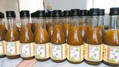 新竹橫山社區種大豆　古法釀醬油