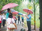 美濃雙溪小棧　講山林80年歷史