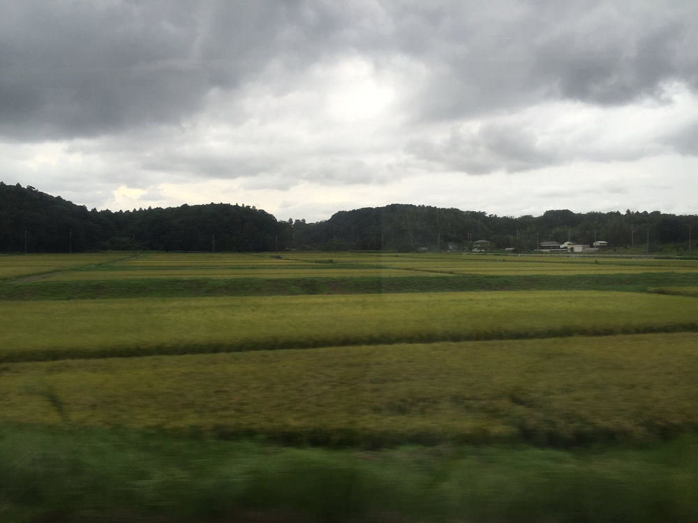 日本落實「農地農用」，國內農舍亂象成了明顯對比。（截取自徐世榮臉書）