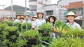 校園頂樓有菜園　降溫又加菜