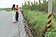 大肚溪堤岸道路崩落　陳情沒人理