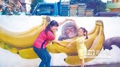 中洲香蕉猴子牆　彩繪溪遊趣