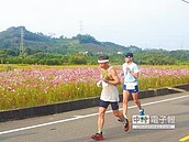 全民樂開跑　銀髮菜鳥快走就好