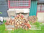 照門宿舍破壞嚴重　留不住了