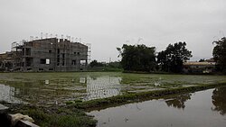 房市怎麼了？　土地交易大縮五成