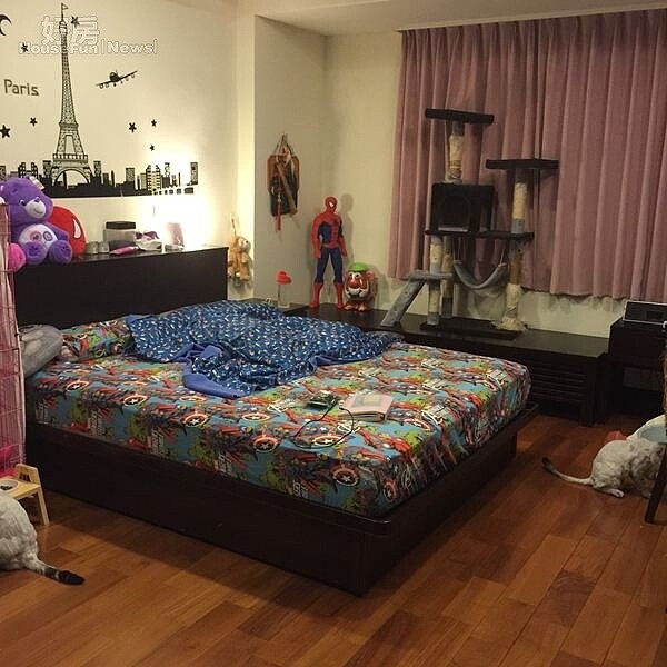3.房間約15坪,為了伺後貓咪一家四口,還買了大型的貓跳台。