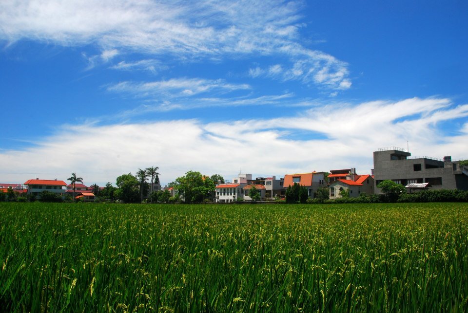 四，雲的書房外風光就是這一片稻田與別墅，住不了別墅，但能共享這樣的美景,真是不錯的享受。