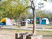 登革熱疫情燒　台南旅遊業爆退房潮