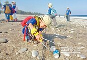 知本淨灘減塑　撿垃圾340公斤