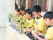 北市嚴防登革熱　288校環境大掃除