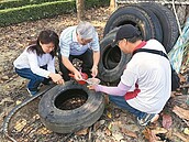 雲林副縣長帶頭巡　清孑孓總動員