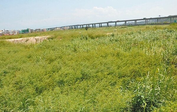後龍鎮的遠雄健康生活園區開發案停擺多時,昨天傳出繼續推動有望的好消息。 (記者張裕珍/攝影)