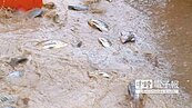 基隆豪雨　馬路5分鐘變黃河