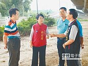 台74線高架橋下　明年起分期綠美化