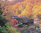 連假助攻　旅行社業績飆高