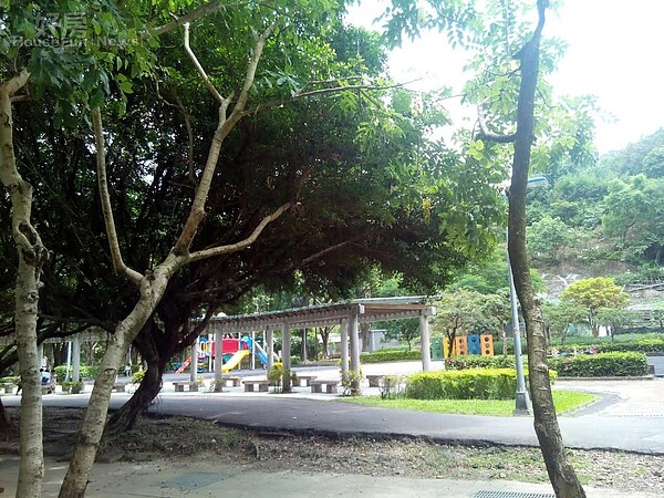 5千坪中強公園擁有絕佳綠蔭景觀,也支撐該區域房價。