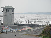 台南七股潟湖嚴重陸化　2千公頃養殖魚產區剉咧等