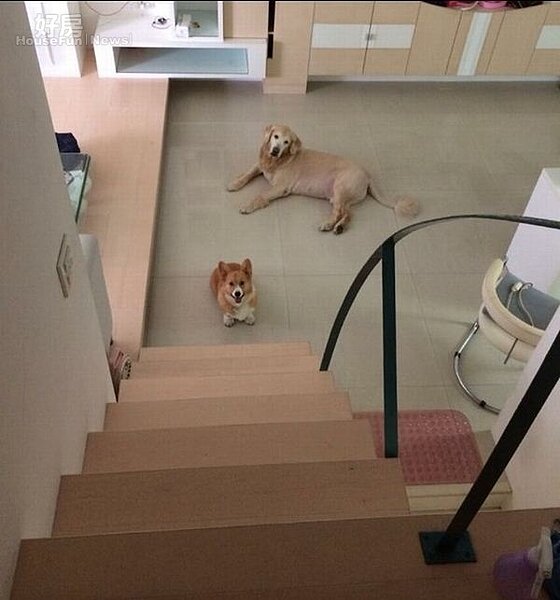 3.內湖的家相當挑高,兩層樓住辦合一。