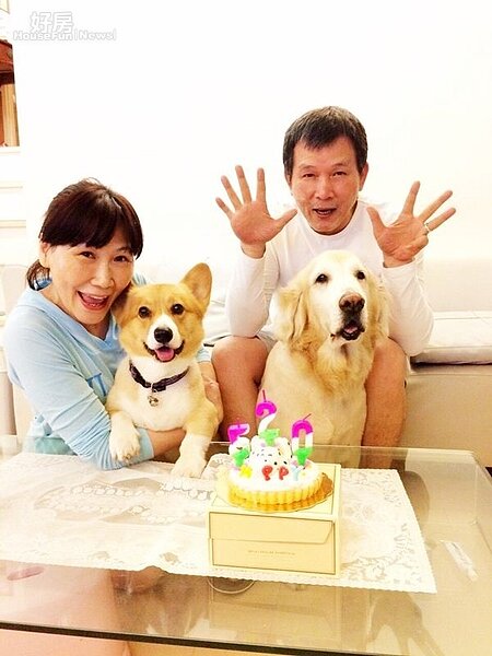 2.Tina與老公在演藝圈是岀了名的愛狗成癡,還特地為愛犬慶生。