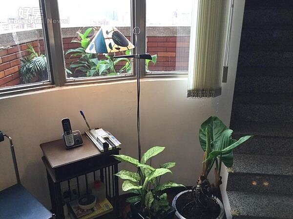 
7.以盆栽帶來生氣，紀老師說：「藝術並非高不可攀，每個人都可以在生活中發揮創意，享受其中樂趣。」