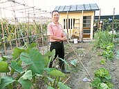 搭高捷去種菜　4千元圓田園夢