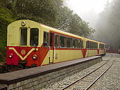 阿里山森鐵　全線復駛無期