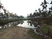 農村社區土地重劃　魚池鄉凹仔農村工程完工