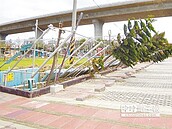 苑港濱海公園防風網倒塌　安全堪虞