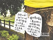 茄苳毀護岸？埔里前後任鎮長互槓