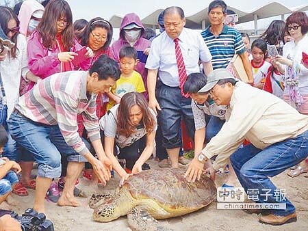12隻綠蠵龜返回大海,小朋友們集氣加油祝福。(陳可文攝)