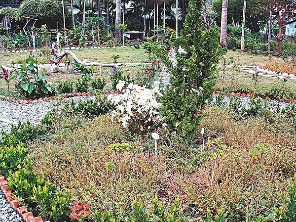 小馬社區居民細心呵護的花園,讓社區更顯處處生機。 圖/台東林管處提供
