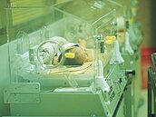 同樣都是高齡少子化　台灣該學學日本