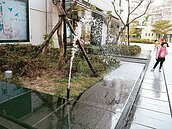 會呼吸的大地　眼見為憑