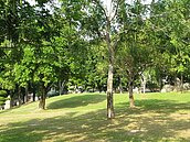 室內空氣品質法即將上路　中市將進行稽查