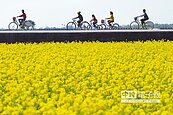 全台10大經典自行車道　池上入選