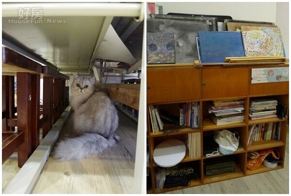 7.心愛的貓咪喜歡在畫室穿梭。
8.畫室中的書籍整整齊齊的排放在置物櫃中。

