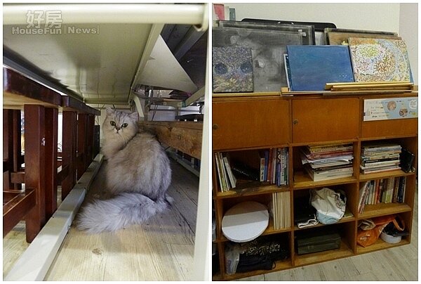 7.心愛的貓咪喜歡在畫室穿梭。
8.畫室中的書籍整整齊齊的排放在置物櫃中。