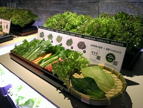 台北東區新開幕的清潭洞韓式燒烤。