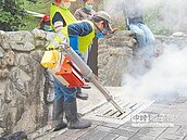 高市登革熱延燒　茂林區淪陷