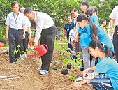 小田園計畫收成　智能障礙生拿下特優