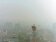 空氣擴散條件不佳　嘉義PM2.5紫爆