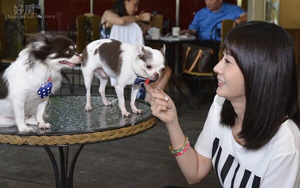 名人會客室 林利霏（好房網News記者陳韋帆／攝影）